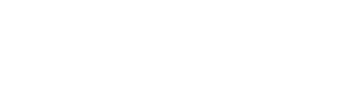 LOGOTIPO DEMASTILS 02